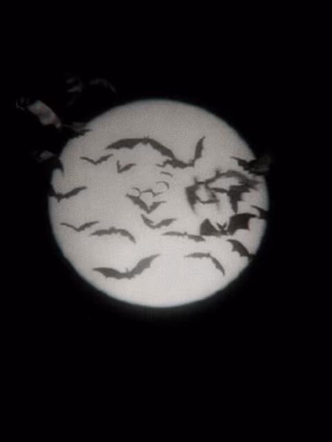 вιgтιтту ємσ αѕιαη gƒ🖤⋆˙⟡
